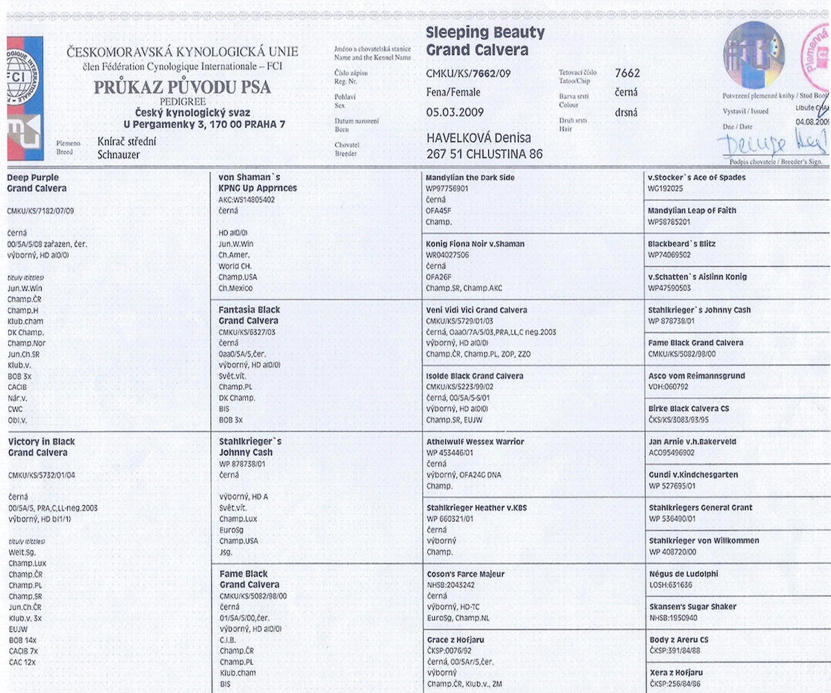 Ruzena  Pedigree